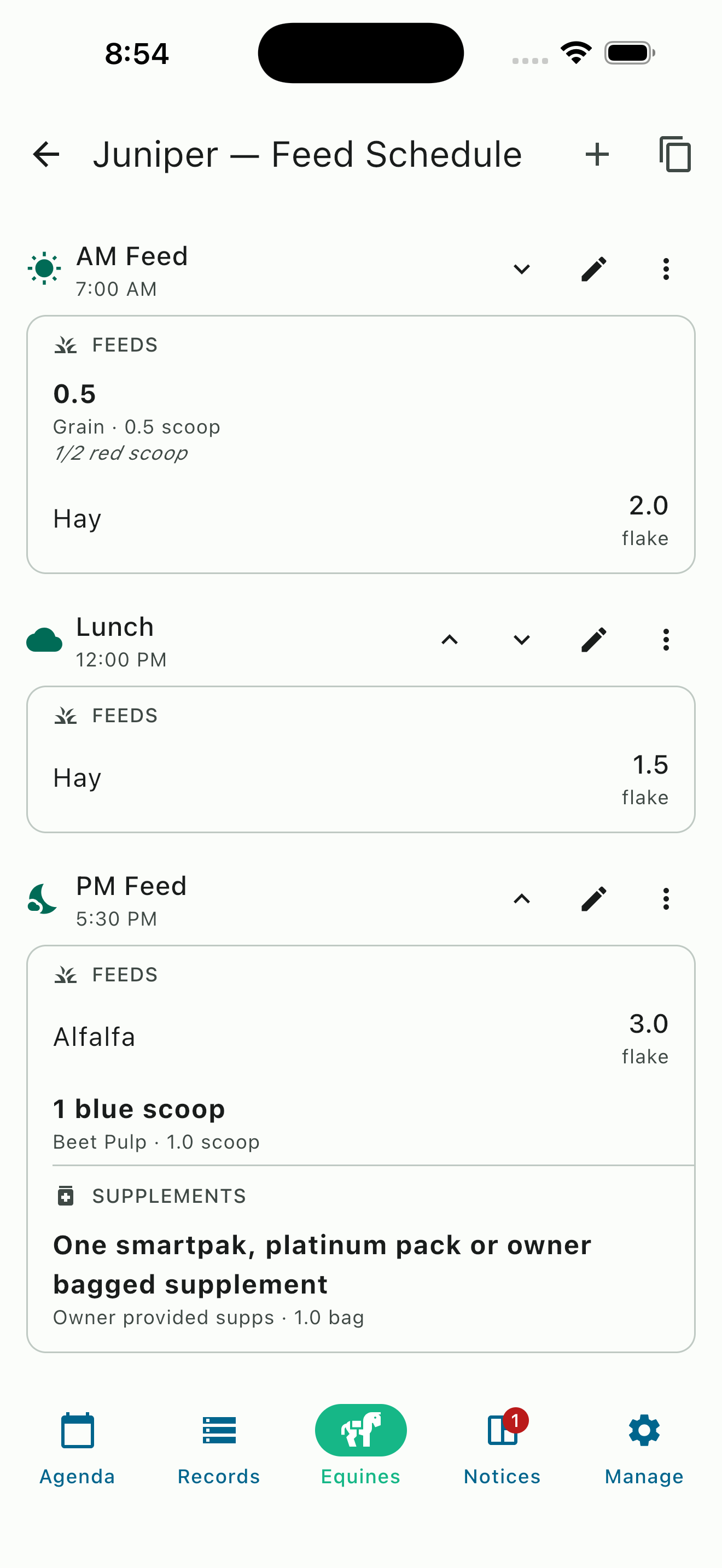 HayNet per-horse feed schedule showing AM, Lunch, and PM feeds with grain, hay, and supplements